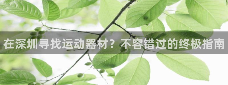 耀世娱乐辅助软件下载：在深圳寻找运动器材？不容错过的