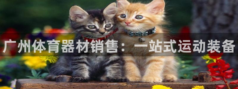 耀世娱乐安全吗可靠吗:广州体育器材销售:一站式运动装备