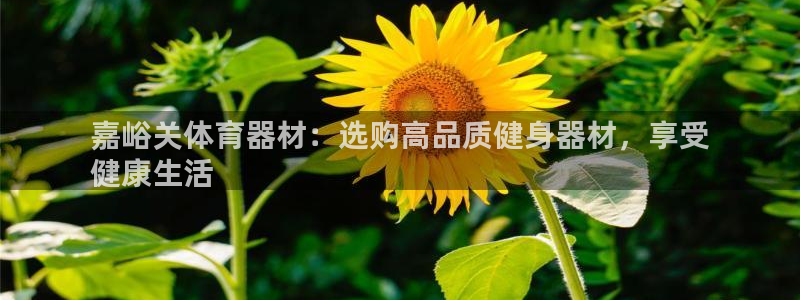 耀世娱乐安全吗知乎:嘉峪关体育器材:选购高品质健身器材,享受