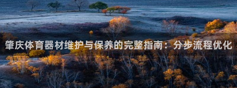 耀世娱乐怎么注册不了:肇庆体育器材维护与保养的完整指南:分步